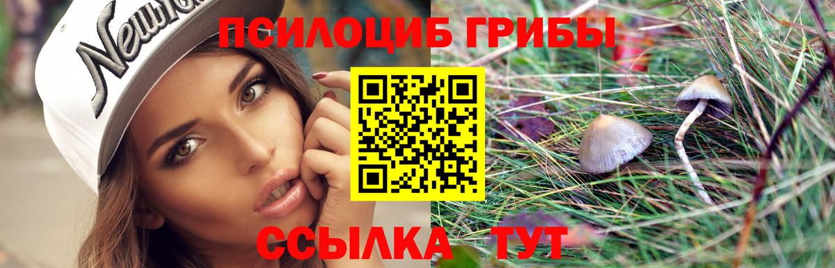 Псилоцибиновые грибы мухоморы  Вход с VPN  Псилоцибиновые грибы прущие грибы  Белогорск 
